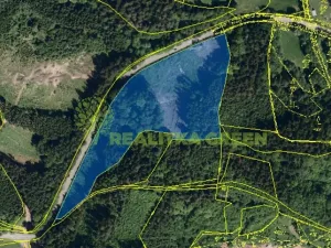 Prodej lesa, Zlín, 26699 m2