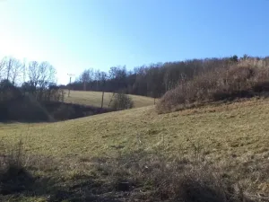 Dražba louky, Úštěk, 4600 m2