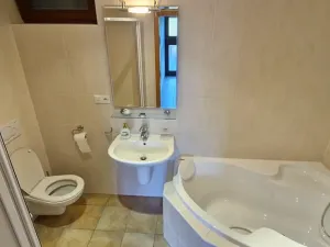 Prodej rodinného domu, Luhačovice, Antonína Slavíčka, 250 m2