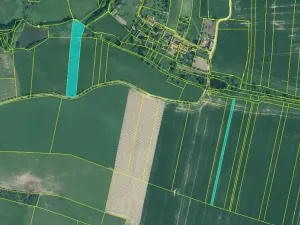 Dražba pole, Dražíč, 11296 m2