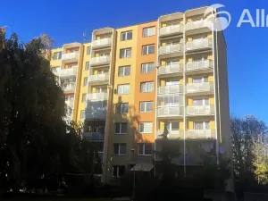 Prodej bytu 2+1, Vyškov, Puškinova, 58 m2