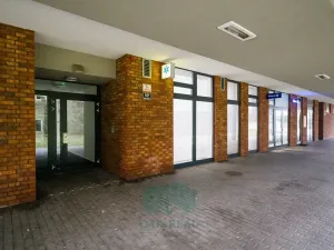 Prodej bytu 2+kk, Brno, Kamínky, 66 m2