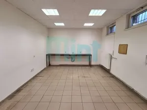 Pronájem skladu, Ostrava, Teslova, 348 m2