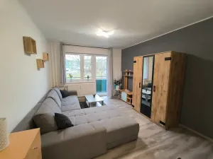 Pronájem bytu 1+kk, Ústí nad Labem, Baráčnická, 33 m2