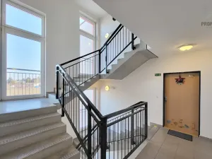 Pronájem bytu 2+kk, Brno, Bučkova, 49 m2