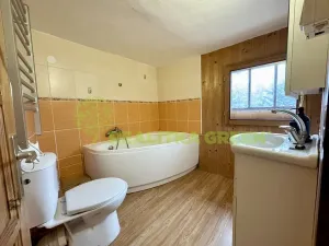 Pronájem bytu 1+kk, Žlutava, 19 m2