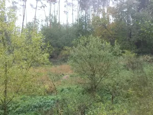 Dražba louky, Biskupice-Pulkov, 986 m2