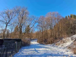 Prodej rodinného domu, Stará Ves, Dlouhá, 70 m2