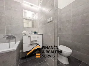 Pronájem bytu 2+kk, Mladá Boleslav, 17. listopadu, 35 m2