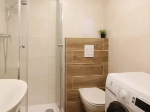 Pronájem bytu 1+kk, Brno, Francouzská, 28 m2