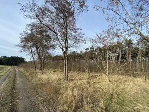 Prodej lesa, Kostelní Lhota, 9438 m2