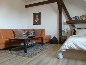 Pronájem bytu 1+1, Brno, Zvěřinova, 53 m2