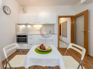 Prodej bytu 1+kk, Klášterec nad Ohří, Královéhradecká, 21 m2