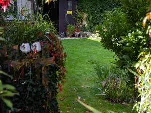 Prodej zemědělské usedlosti, Sklené nad Oslavou, 330 m2