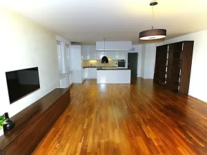 Pronájem bytu 3+kk, Praha - Krč, Hornokrčská, 93 m2