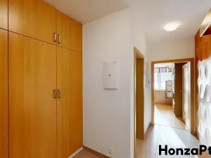 Prodej bytu 1+kk, Praha - Záběhlice, Podle náhonu, 49 m2