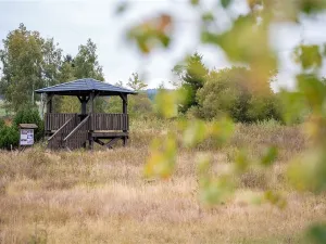 Prodej bytu 2+kk, Abertamy, Pražská, 47 m2