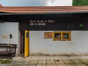 Prodej zemědělské usedlosti, Nová Sídla, 327 m2