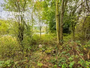 Prodej zahrady, Malé Žernoseky, 1568 m2