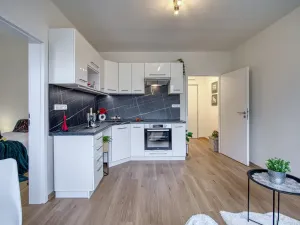 Pronájem bytu 1+1, Chomutov, Arbesova, 36 m2