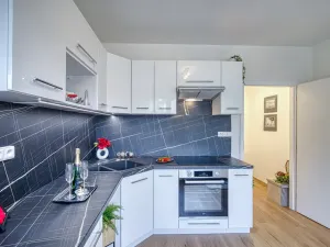 Pronájem bytu 1+1, Chomutov, Arbesova, 36 m2