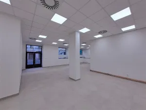 Pronájem obchodního prostoru, Praha, Cimburkova, 357 m2