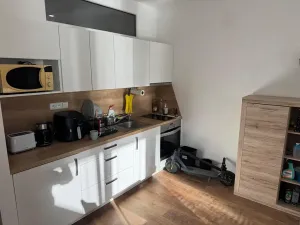 Pronájem bytu 1+kk, Brno, Dřevařská, 30 m2