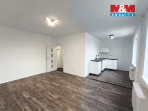 Pronájem bytu 1+1, Havířov - Podlesí, Karolíny Světlé, 33 m2