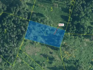 Dražba lesa, Pačejov, 1958 m2