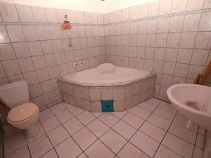 Prodej rodinného domu, Frymburk, 500 m2