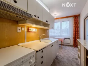 Prodej bytu 4+1, Hrušovany nad Jevišovkou, Mlýnská, 93 m2