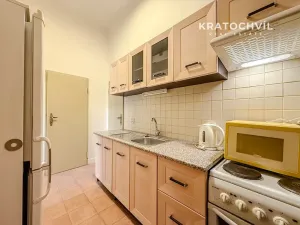 Pronájem bytu 1+kk, Praha - Nusle, Na Veselí, 42 m2