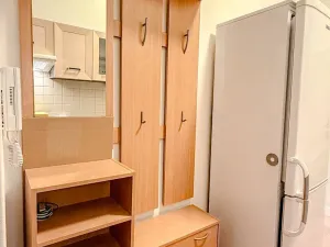Pronájem bytu 1+kk, Praha - Nusle, Na Veselí, 42 m2