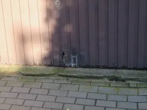 Dražba garáže, Tachov, Na Výspě, 29 m2