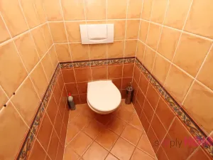 Pronájem bytu 3+kk, Praha - Holešovice, Milady Horákové, 110 m2