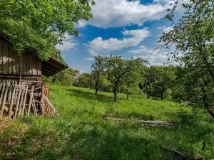 Prodej rodinného domu, Veliny, 157 m2