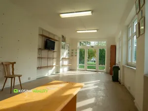 Pronájem komerční nemovitosti, Kynšperk nad Ohří, Mládeže, 98 m2