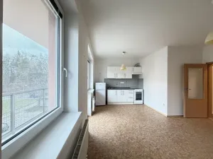 Pronájem bytu 1+kk, Pardubice - Trnová, Jozefa Gabčíka, 35 m2