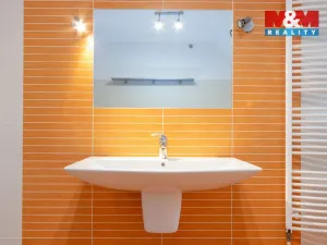 Prodej rodinného domu, Otice, Domky, 330 m2