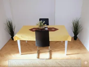 Pronájem pokoje, Praha - Břevnov, Šlikova, 17 m2