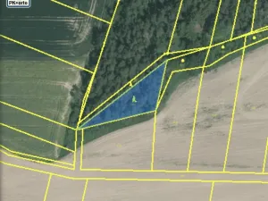 Prodej lesa, Blížejov - Lštění, 1122 m2