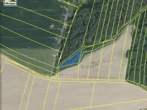 Prodej lesa, Blížejov - Lštění, 1122 m2
