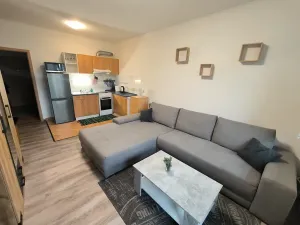 Pronájem bytu 1+kk, Ústí nad Labem, Baráčnická, 34 m2