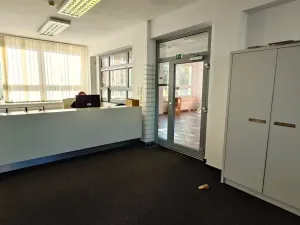 Pronájem kanceláře, Lišov, Hůrecká, 235 m2