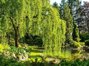 Prodej rodinného domu, Sulice, Na Křížkách, 277 m2