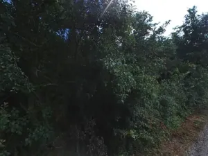 Pronájem zahrady, Dolní Kounice, 2459 m2