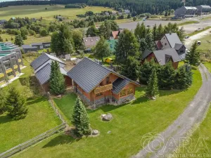 Prodej rodinného domu, Loučná pod Klínovcem, 195 m2