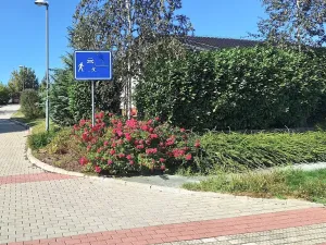 Prodej pozemku pro bydlení, Hrušovany u Brna, Pod Střediskem, 767 m2