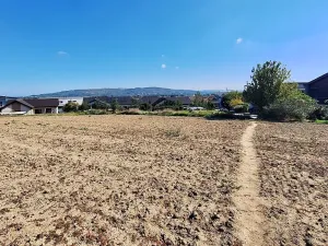 Prodej pozemku pro bydlení, Hrušovany u Brna, Pod Střediskem, 1169 m2