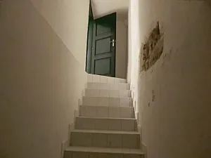 Pronájem rodinného domu, Praha - Břevnov, Na zástřelu, 297 m2